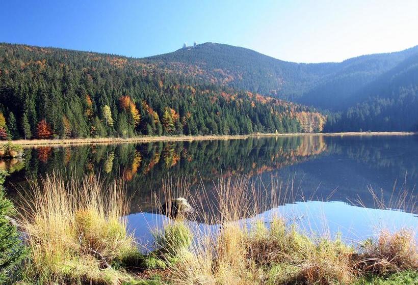 Hotel Pension Zur Linde 5