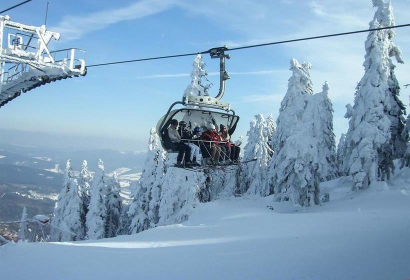 Hotel Pension Zur Linde 6