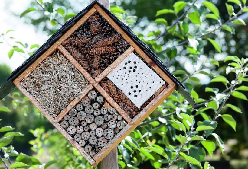 Hotel Kurhaus Pivittskrug 17