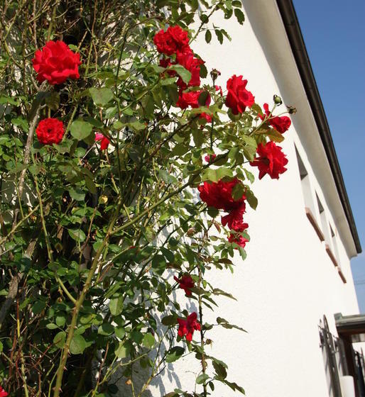 Hotel Margarethenhof 20