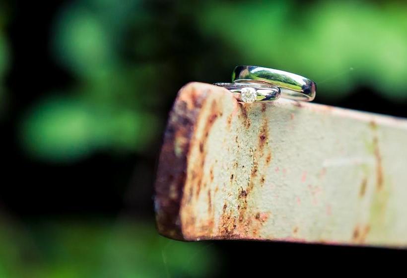 Hotel Historische Spitzgrundmühle 1