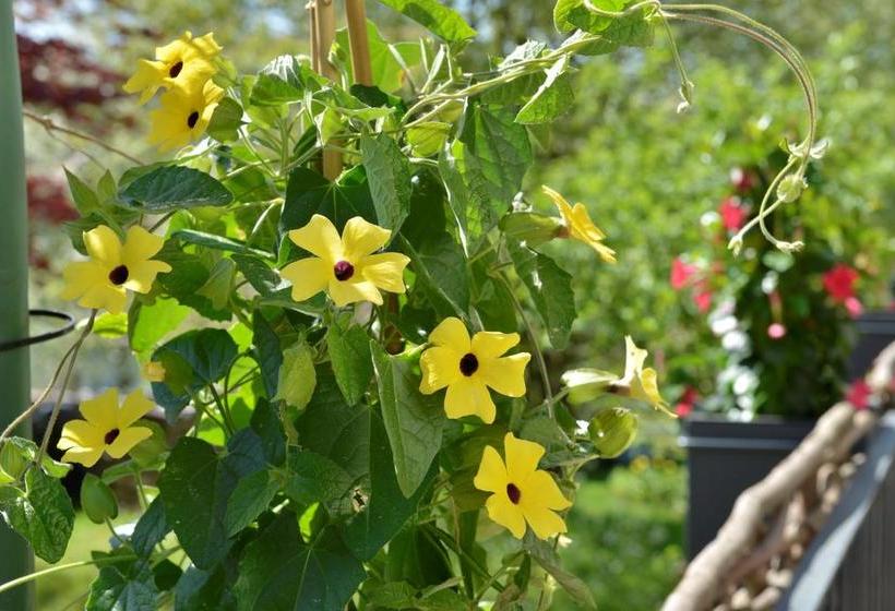 Hotel Pension Waldkristall 5