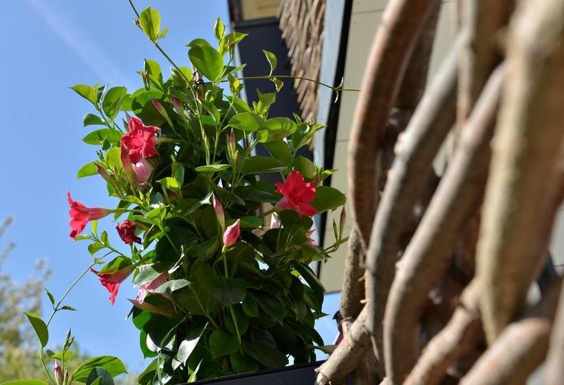 Hotel Pension Waldkristall 7