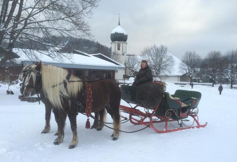 Hotel Am Adlerweg 9 8