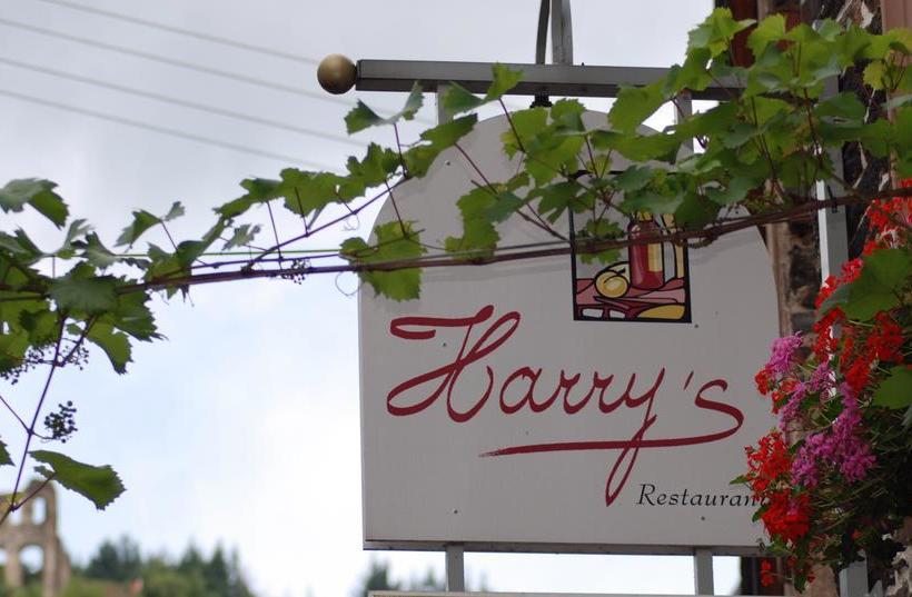 Hotel Harry S Vinothek & Restaurant 3