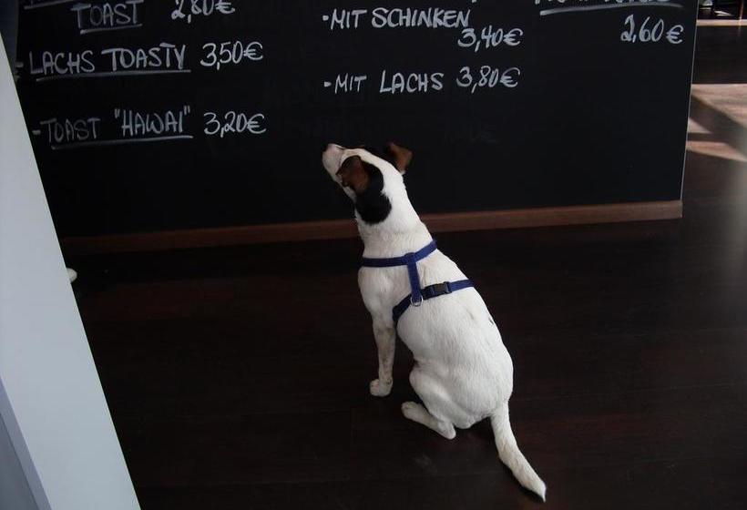 Hotel & Café Kleinergrünauer 5