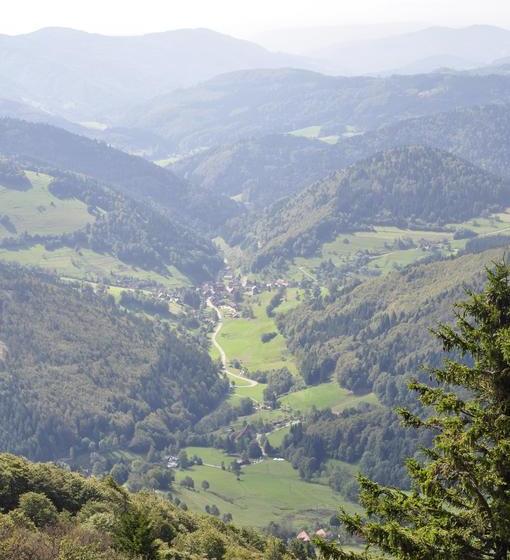 Hotel Pension Gasthaus Zur Schmiede 10