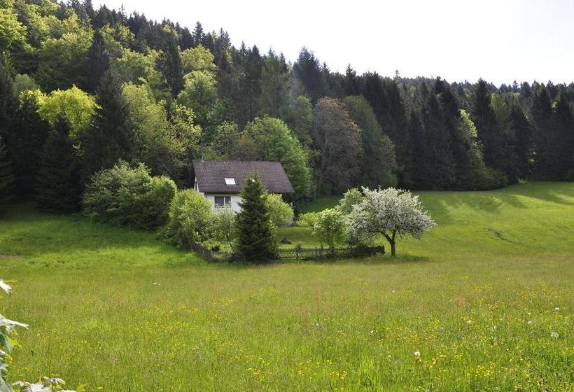 Hotel Pension Gasthaus Zur Schmiede 7