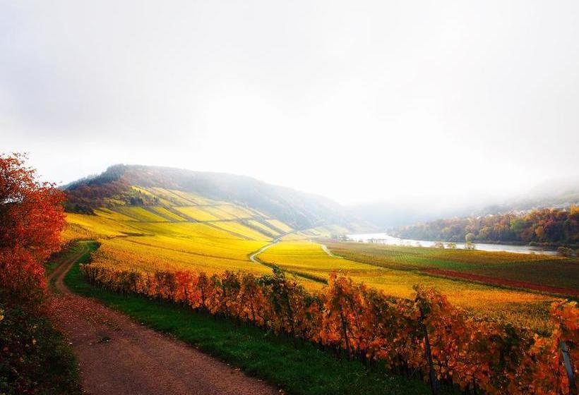 Bed and Breakfast Gästehaus Weingut Arns 1
