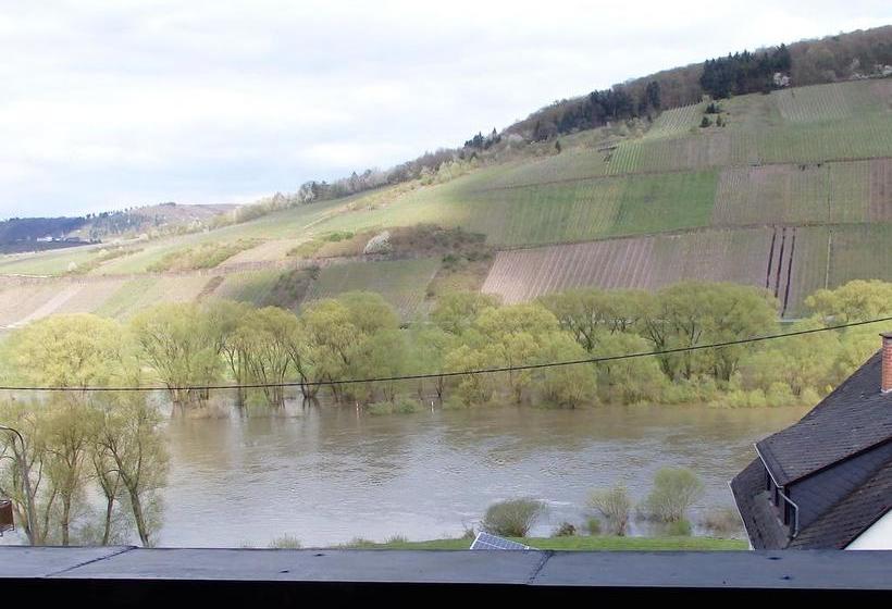 Bed and Breakfast Gästehaus Weingut Arns 3