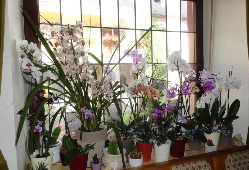 Hotel Zur Grafschaft 7