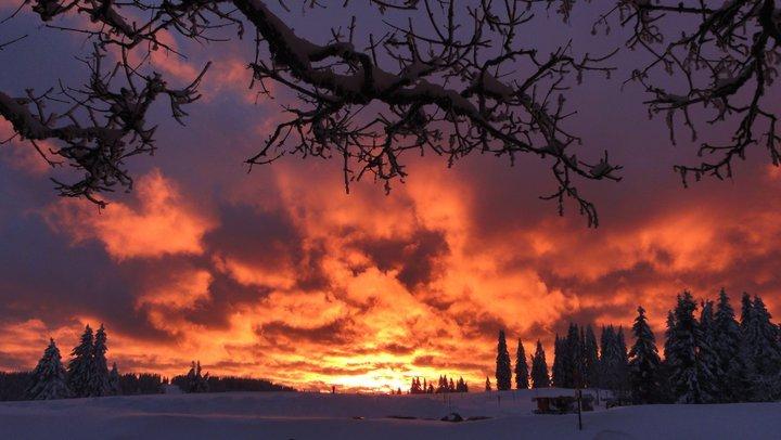 Hotel Silberdistel 5