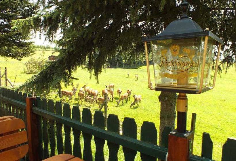 Ferienhotel Goldhübel 10