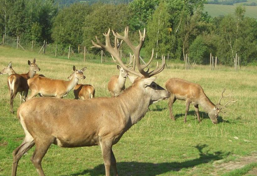 Ferienhotel Goldhübel 17