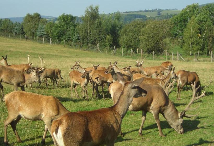 Ferienhotel Goldhübel 18