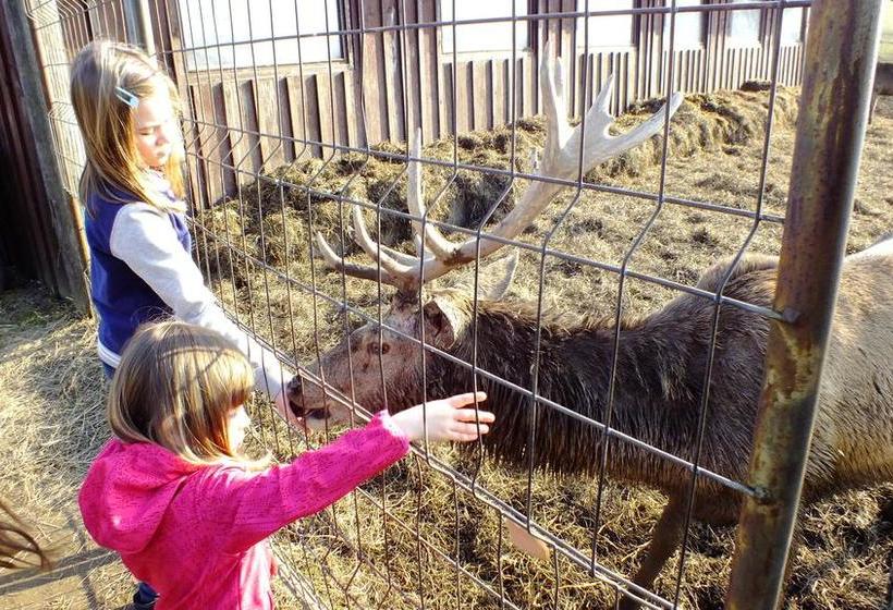 Ferienhotel Goldhübel 19