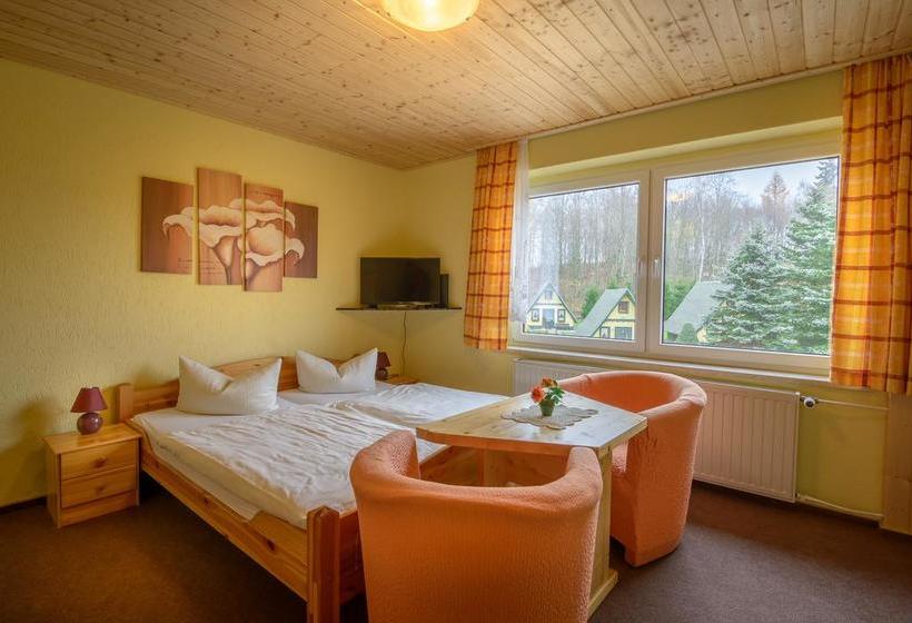 Ferienhotel Goldhübel 9