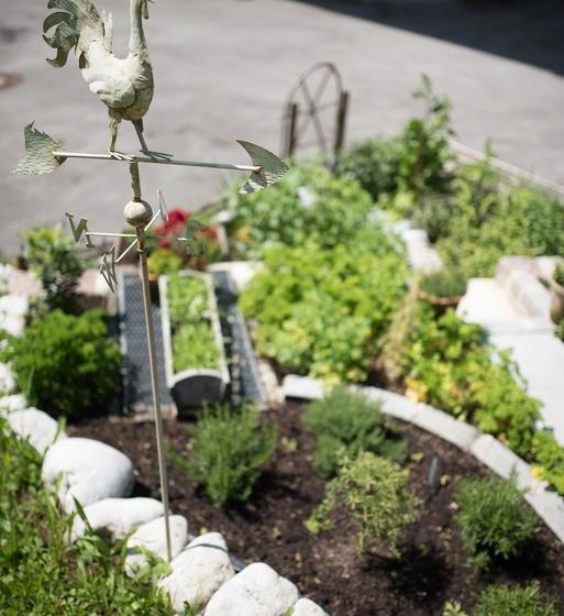 Bed & Breakfast Villa Adolphine 14