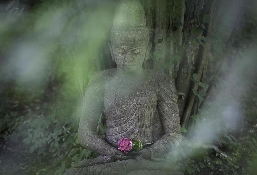 Bed & Breakfast Villa Adolphine 6