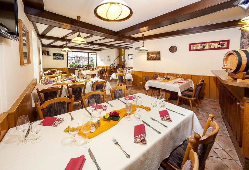 Hotel Restaurant Ehses 6