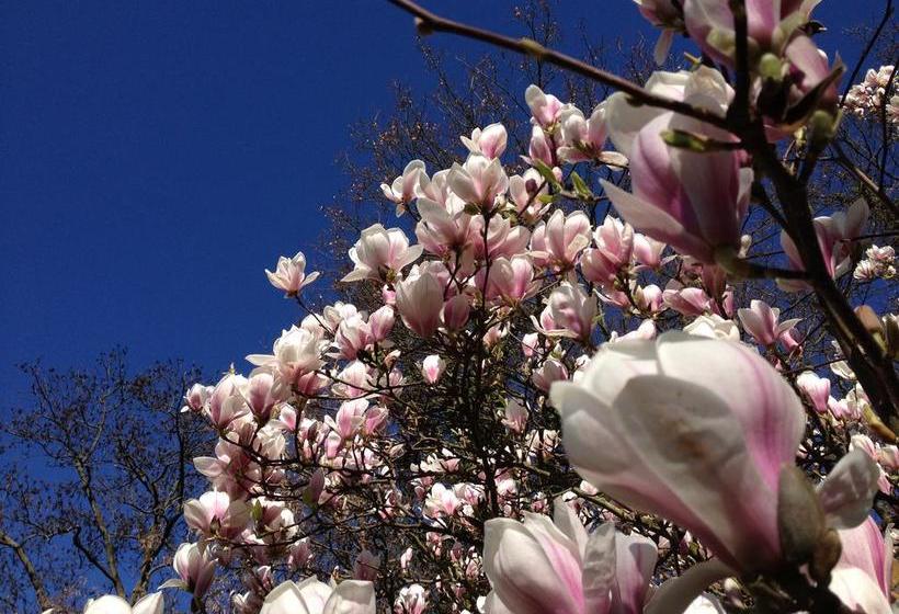 Villa Zur Erholung Bed & Breakfast 11