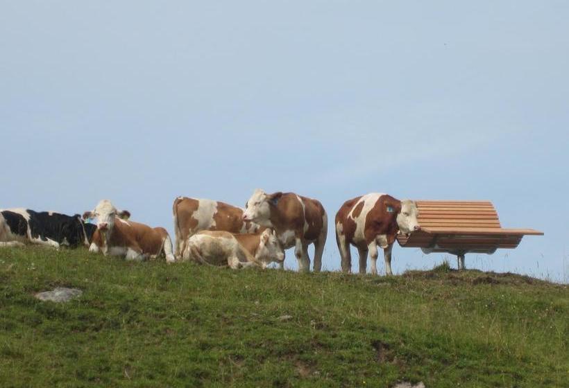 Hotel Sonnhofs Ferienresidenz 5