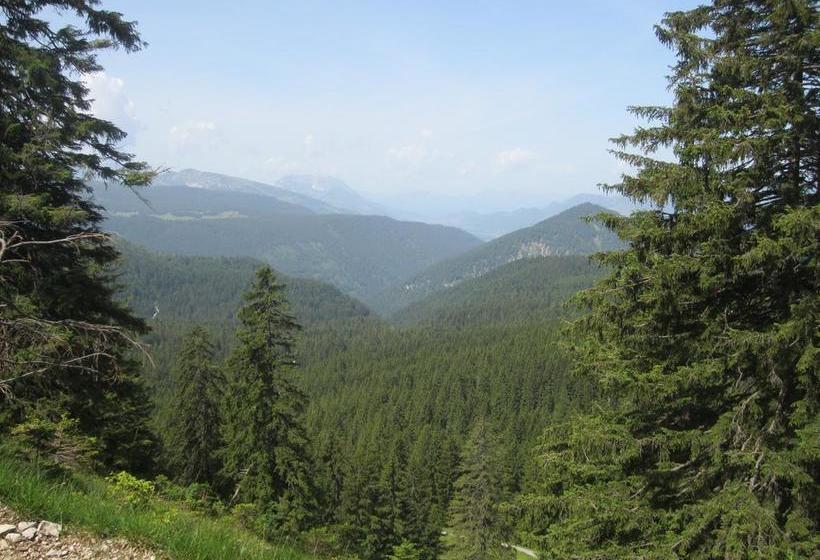 Hotel Sonnhofs Ferienresidenz 6