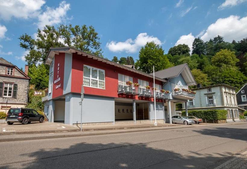 Haller Hotel Garni Renania del Norte Westfalia