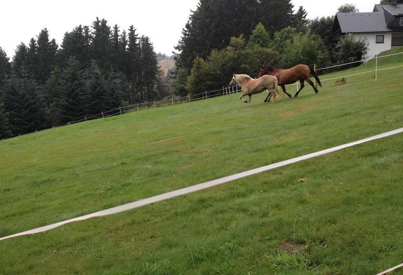 Apparthotel Harmonie 11