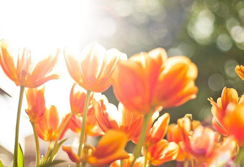 Hotel Reindl Suiten & Appartments 5