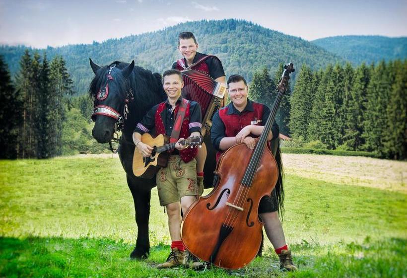 Musikhotel Tonihofs 3