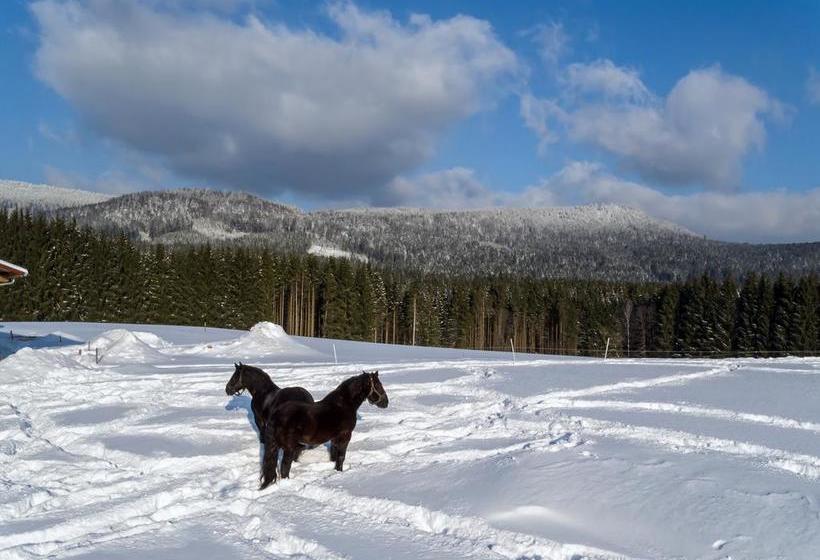 Musikhotel Tonihofs 8