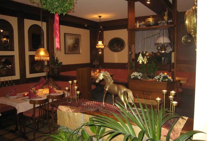 Hotel Zum Flößer 2