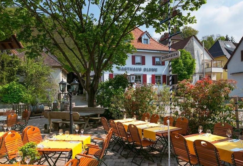 Hôtel Gasthaus Zur Blume 17