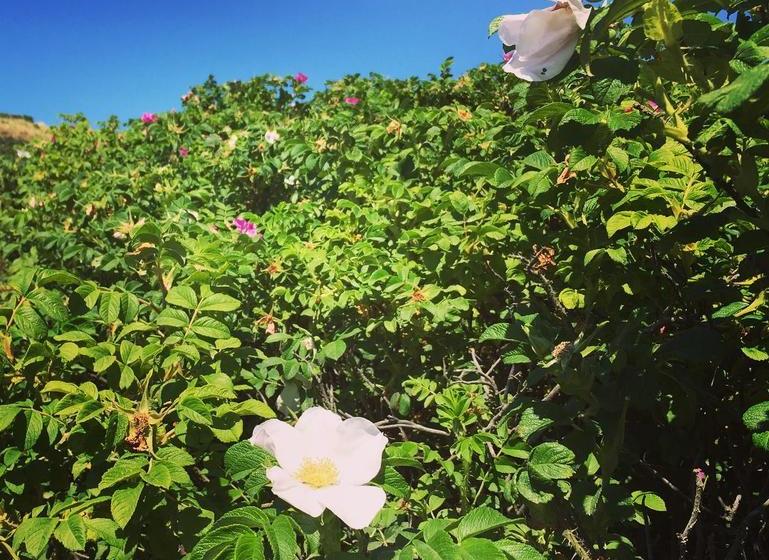 Parkhotel Am Südwäldchen 14