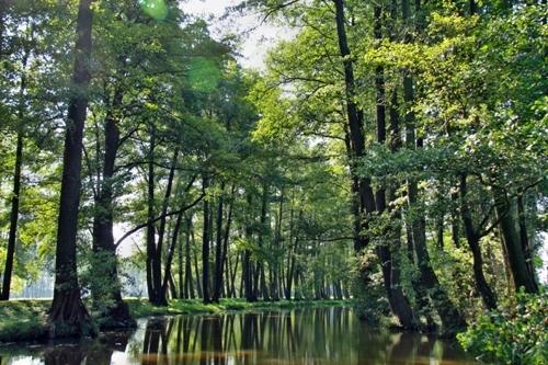 Spreewaldhotel Garni Raddusch 3