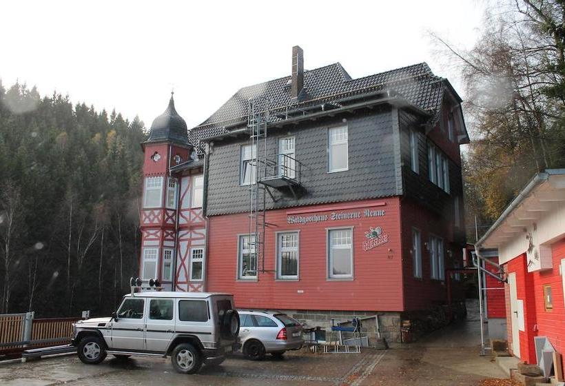 Hotel Steinerne Renne 2