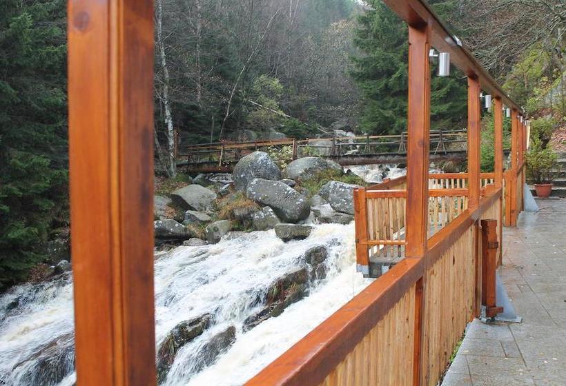 Hotel Steinerne Renne 3