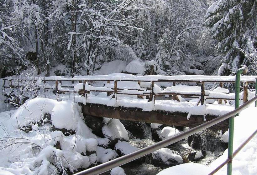 Hotel Steinerne Renne 4