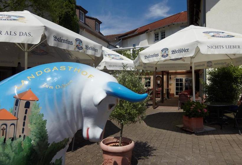 Hotel Zum Ochsen 14