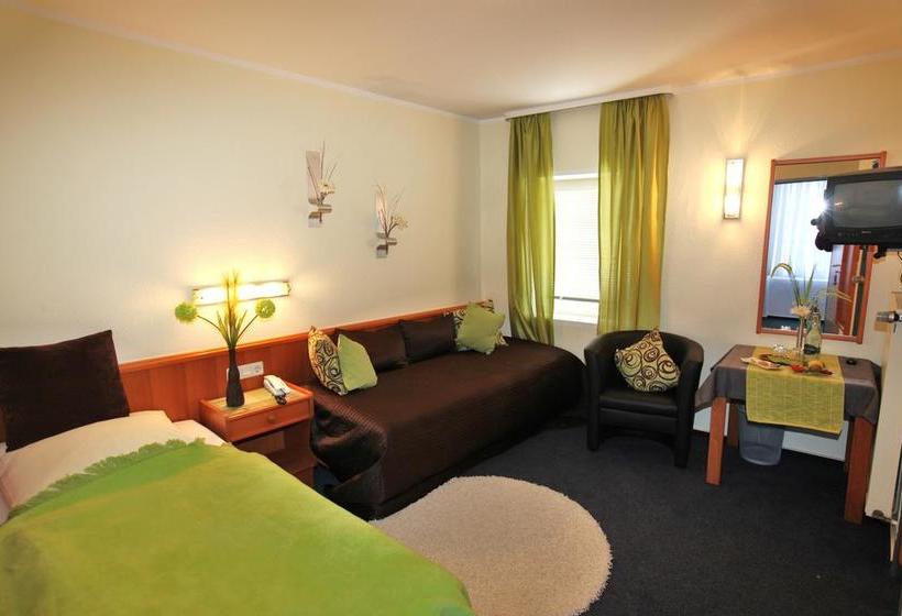 Hotel Saarburger Hof 3