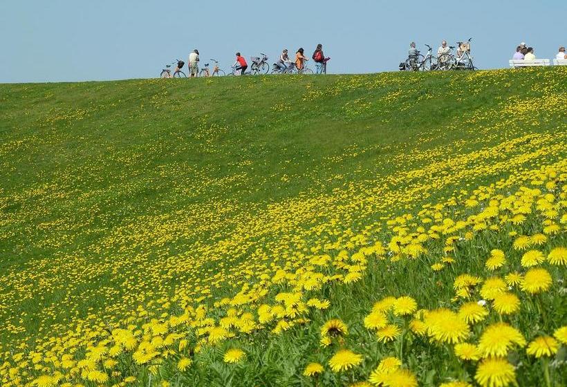 Aparthotel Am Meer 11