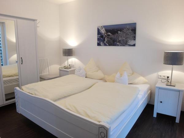 Hotel Und Ferienwohnungen Clemens 8