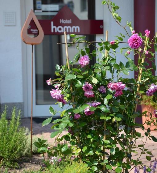 Hotel Hamm 2