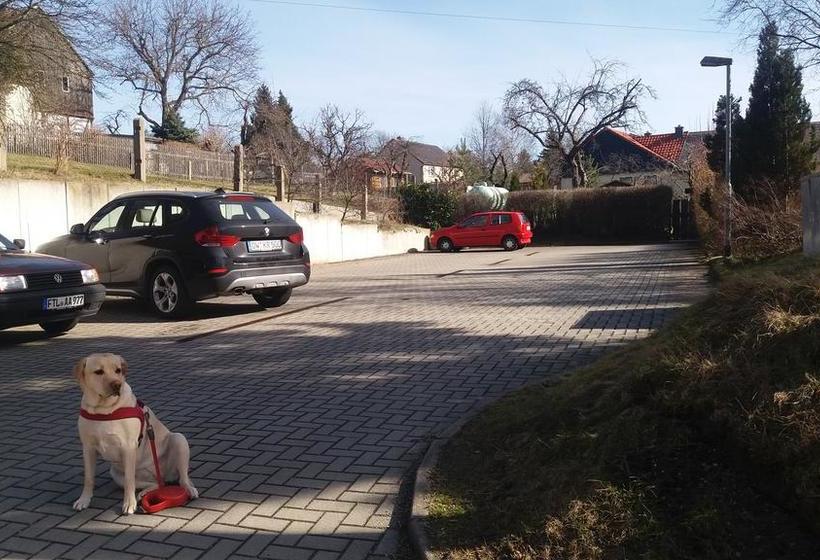 Hotel Altes Wirtshaus 3