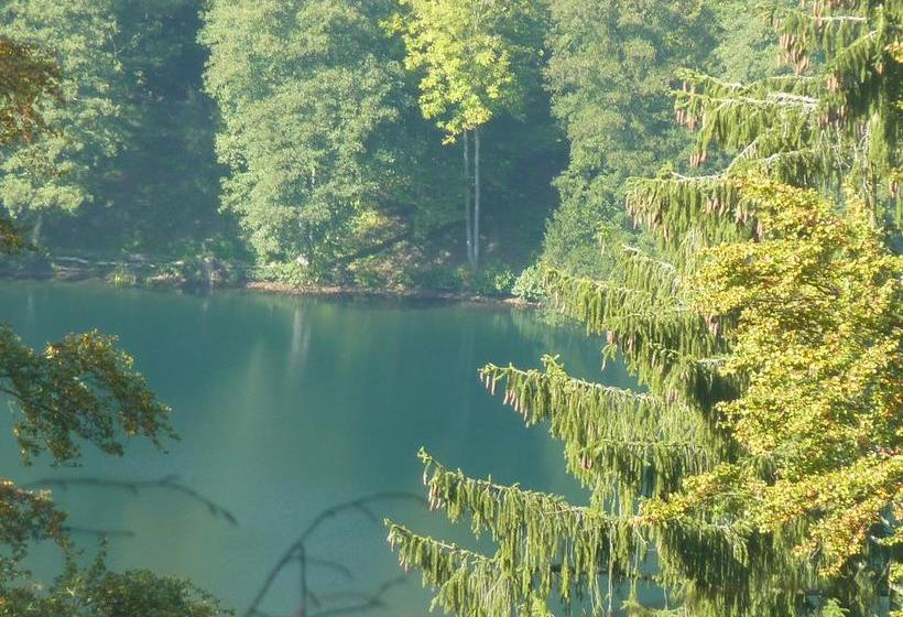 Hotel Restaurant Müller 10