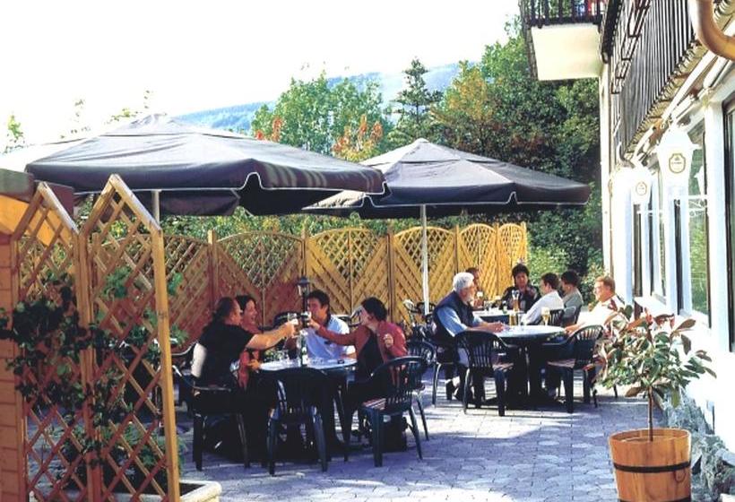 Heidehotel Hildfeld 10