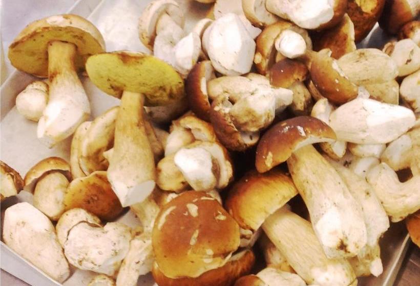 Heidehotel Hildfeld 12