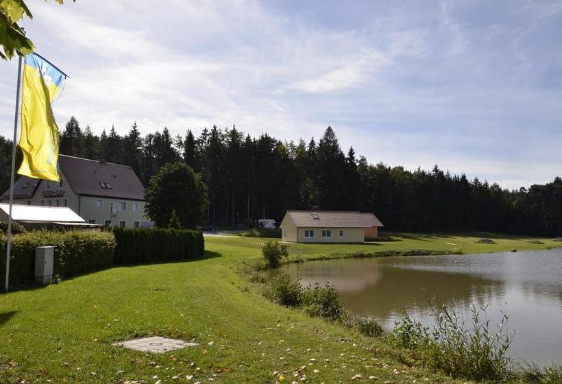 Hotel Pension Zum Grünen Wald 10