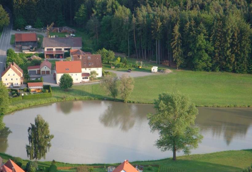 Hotel Pension Zum Grünen Wald 12